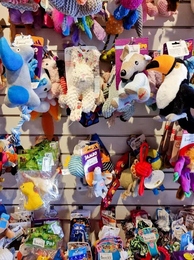 Brinquedos e acessórios