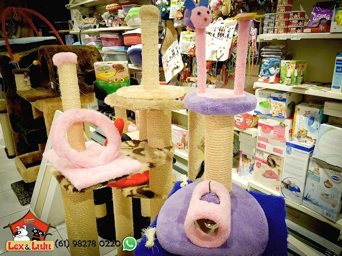 Um universo para os gatos